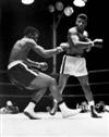 (BOXING) Group of approximately 150 photographs of pugilists in the ring, with prints of the